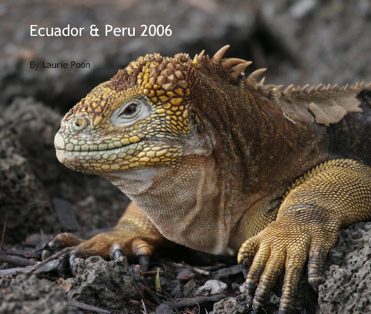 Ecuador & Peru 2006 nach Laurie Poon anzeigen