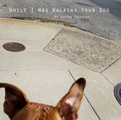 While I Was Walking Your Dog book cover
