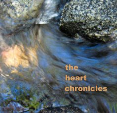the heart chronicles book cover