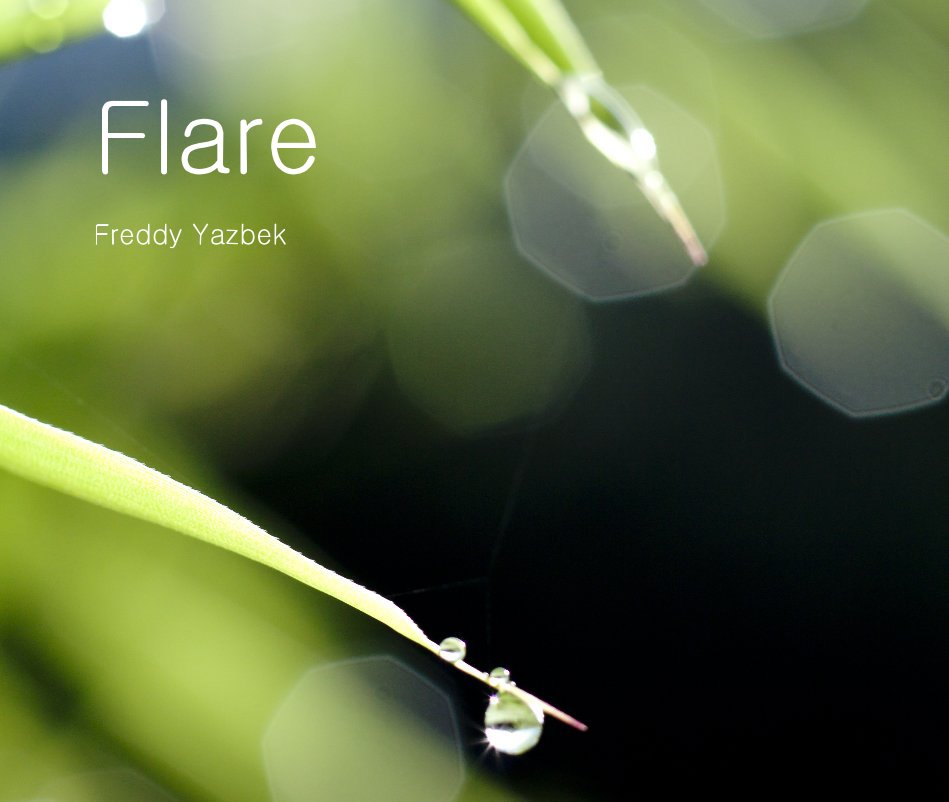 View Flare by Freddy Yazbek