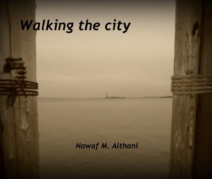 Walking the city book cover
