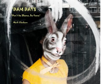 'DAM DAYS book cover
