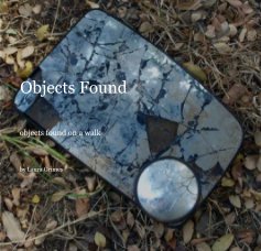 Objects Found book cover