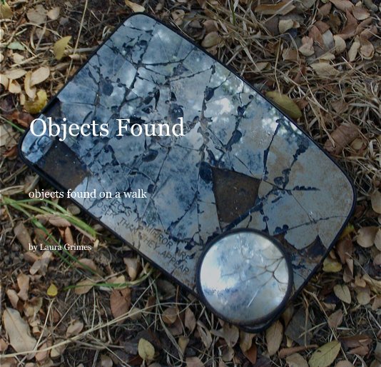Visualizza Objects Found di Laura Grimes