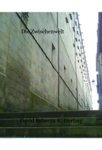 Die Zwischenwelt book cover