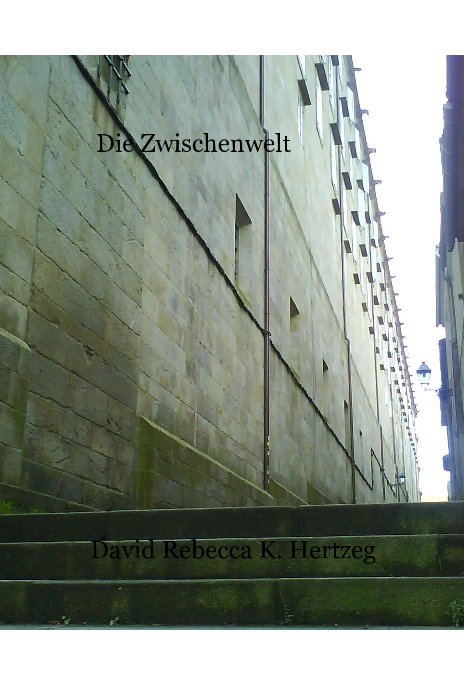 Die Zwischenwelt nach David Rebecca K. Hertzeg anzeigen