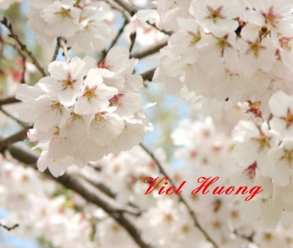 Viet Huong book cover