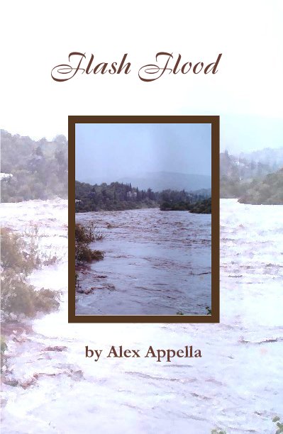Ver Flash Flood por Alex Appella