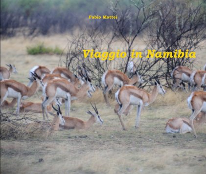 Viaggio in Namibia book cover
