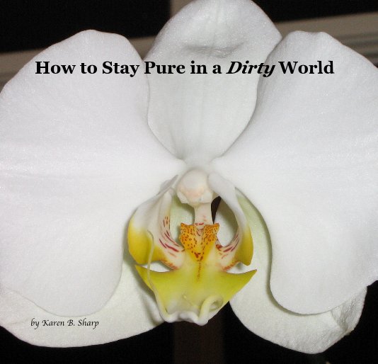 Bekijk How to Stay Pure in a Dirty World op Karen B. Sharp