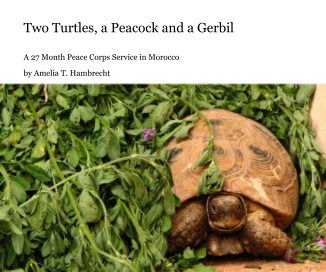 Two Turtles, a Peacock and a Gerbil book cover