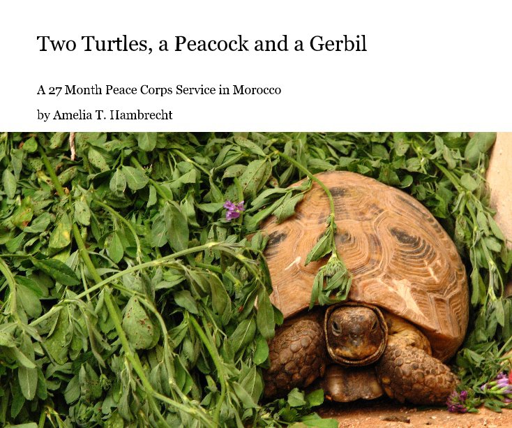 View Two Turtles, a Peacock and a Gerbil by Amelia T. Hambrecht