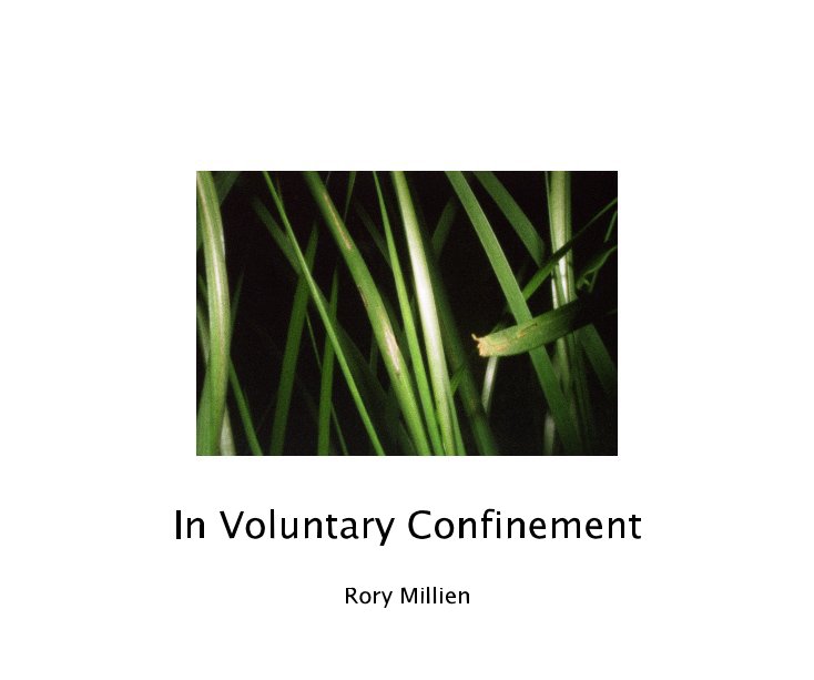 View In Voluntary Confinement by Rory Millien