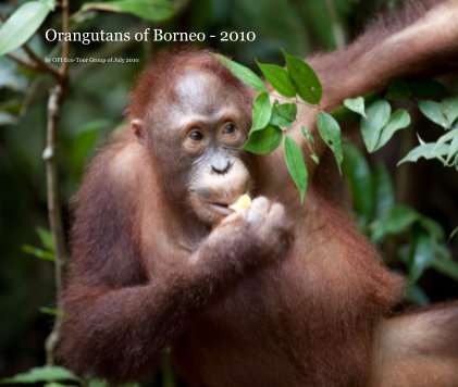 Orangutans of Borneo - 2010 book cover