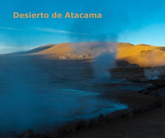 Desierto de Atacama book cover