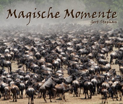 Magische Momente book cover