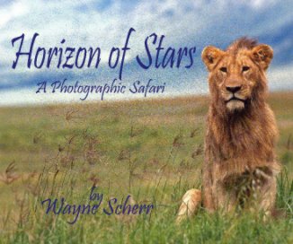 Horizon of Stars book cover