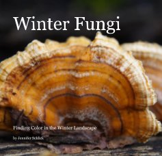 Winter Fungi book cover