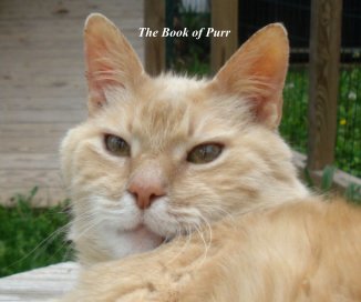 The Book of Purr book cover