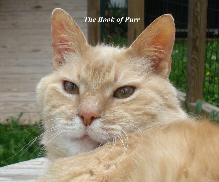View The Book of Purr by Allison Kelly