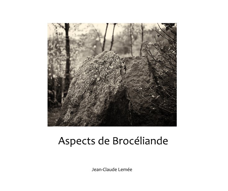 View Aspects de Brocéliande by Jean-Claude Lemée