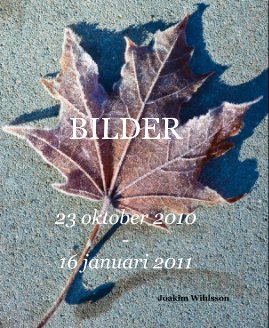 BILDER book cover