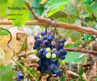 Holiday in ....Provence book cover
