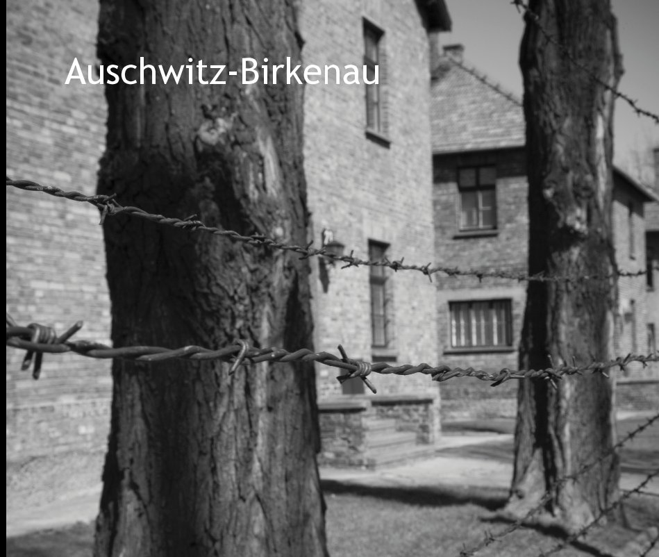 View Auschwitz-Birkenau by Mike Scott