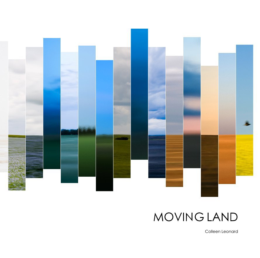View MOVING LAND by Colleen Leonard