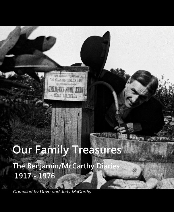 View Our Family Treasures by Compiled by Dave and Judy McCarthy