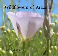 Wildflowers of Arizona book cover