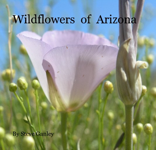 Wildflowers of Arizona nach Steve Ganley anzeigen