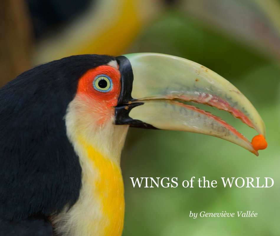 View WINGS of the WORLD by Geneviève Vallée
