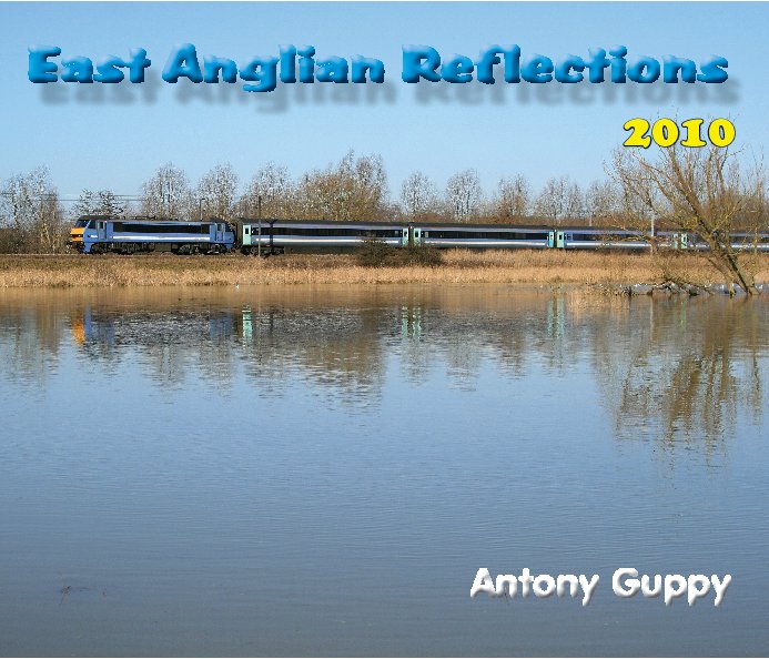 View East Anglian Reflections 2010 by Antony Guppy
