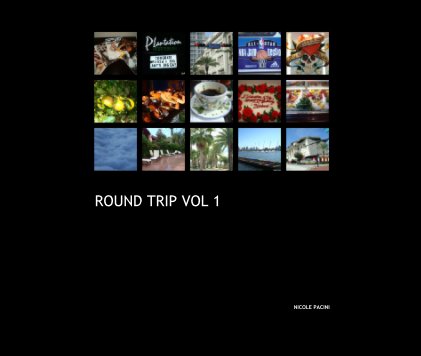 Round Trip Vol 1 book cover