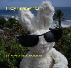 Lizzy in Amerika book cover