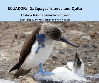 ECUADOR: Galápagos Islands and Quito book cover
