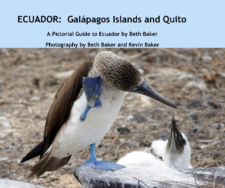 View ECUADOR: Galápagos Islands and Quito by Photography by Beth Baker and Kevin Baker