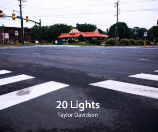 20 Lights book cover