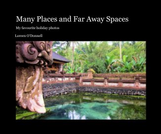 Many Places and Far Away Spaces book cover