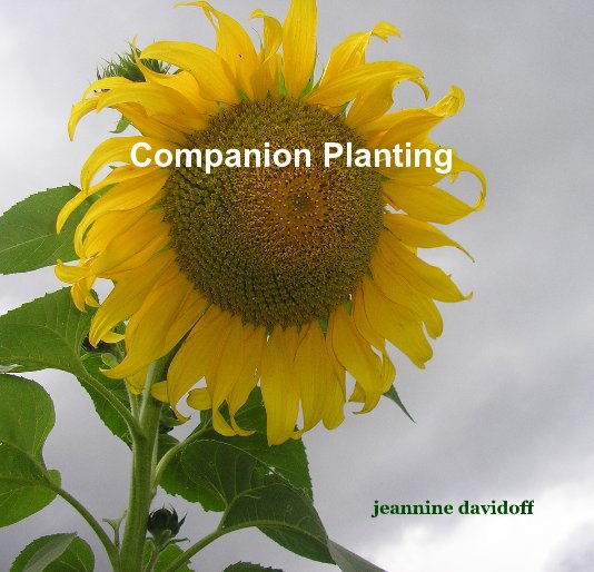 Companion Planting nach jeannine davidoff anzeigen