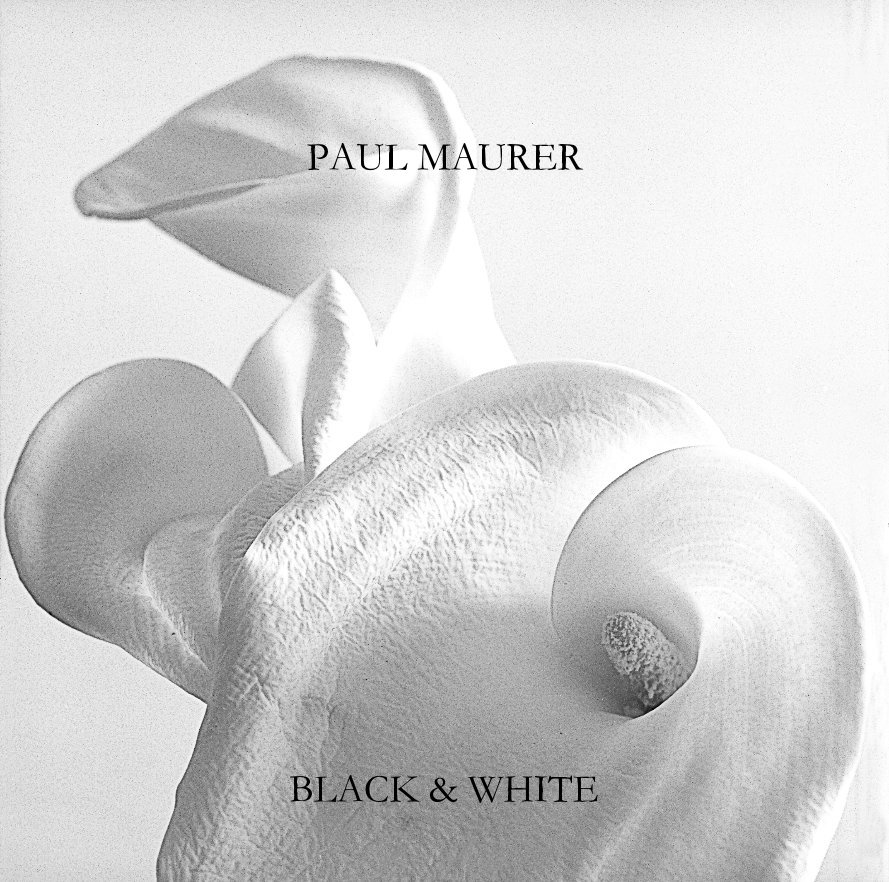 View Black and White by Paul Maurer