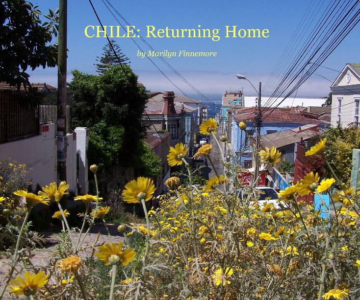 View CHILE by Marilyn Finnemore