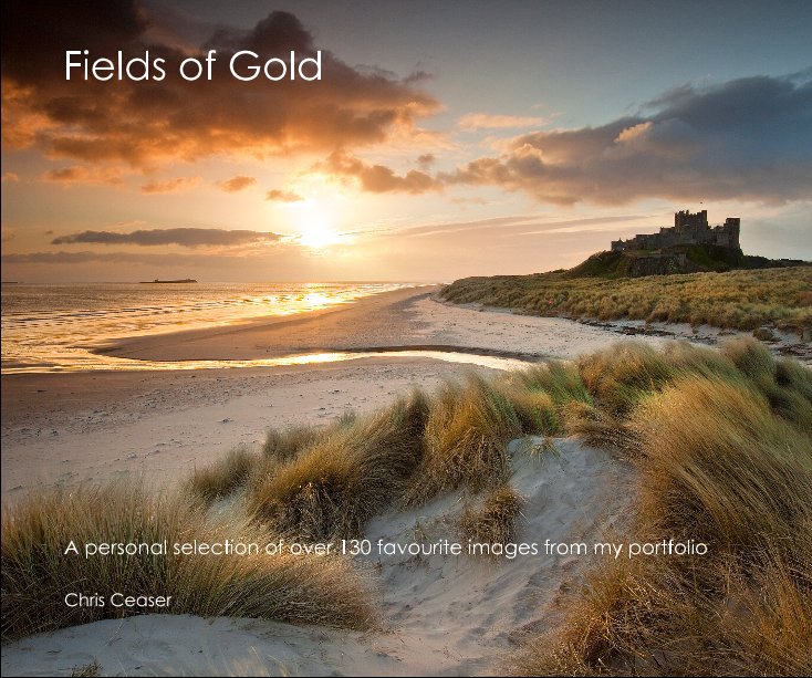 Bekijk Fields of Gold op Chris Ceaser
