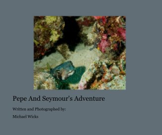 Pepe And Seymour's Adventure book cover