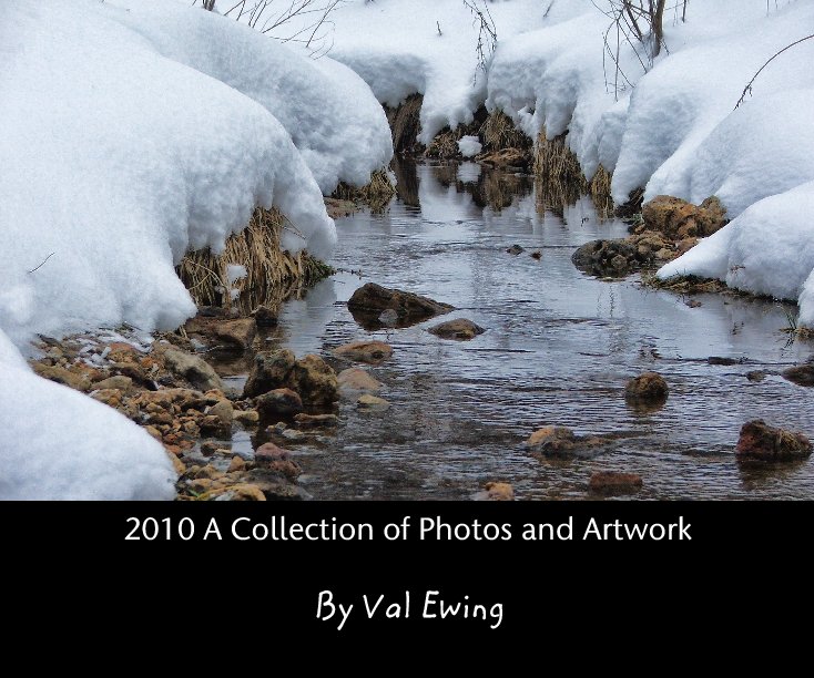 Ver 2010 A Collection of Photos and Artwork por Val Ewing