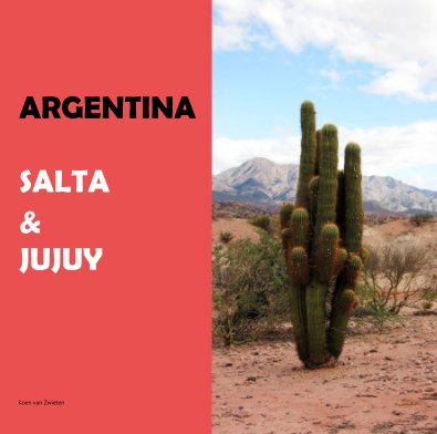 ARGENTINA SALTA & JUJUY book cover