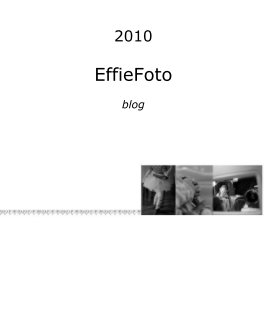 2010 EffieFoto blog book cover