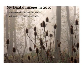 My Digital Images in 2010 book cover