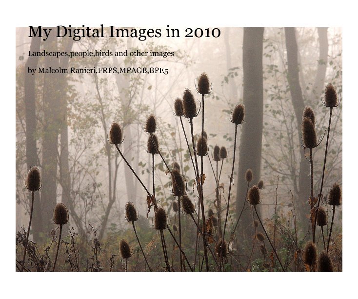 View My Digital Images in 2010 by Malcolm Ranieri,FRPS,MPAGB,BPE5